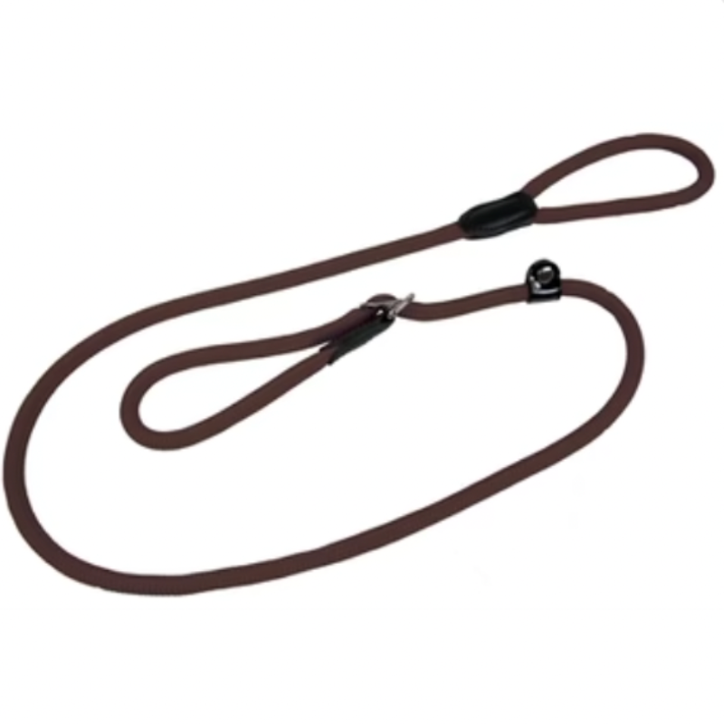 Hundeleine mit Halsband Braun